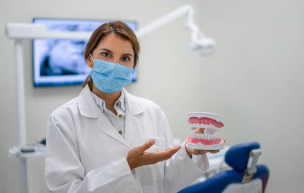 Best Chipped Tooth Repair Near Me  in Town N Country, FL
